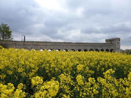 Tour Fleurs