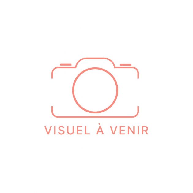  visuel_a_venir 